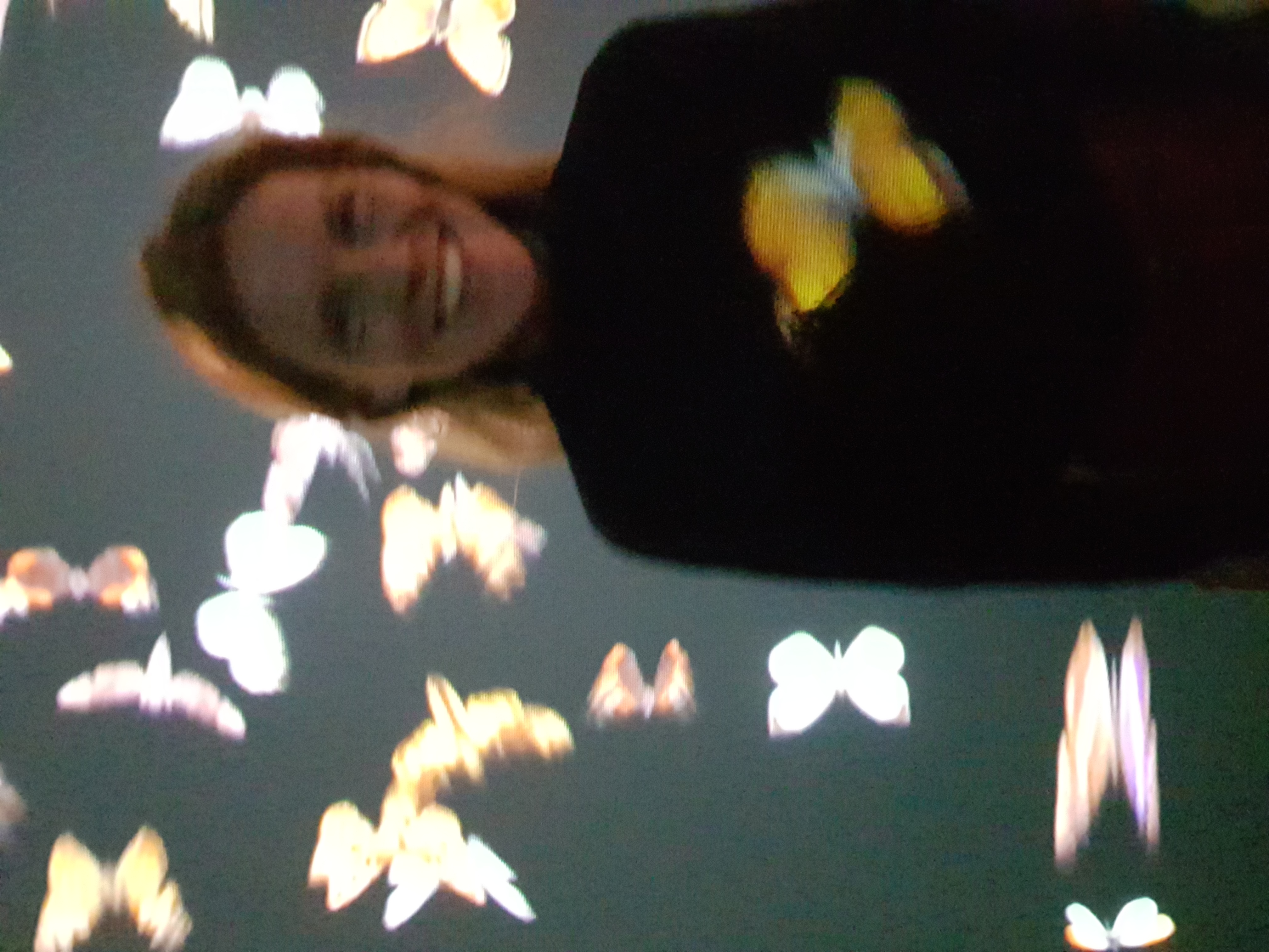 Papillon - Symbole de transformation
